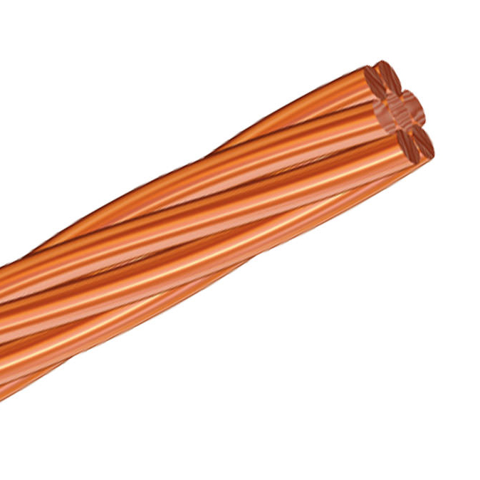 20210701191152-cable-desnudo-1